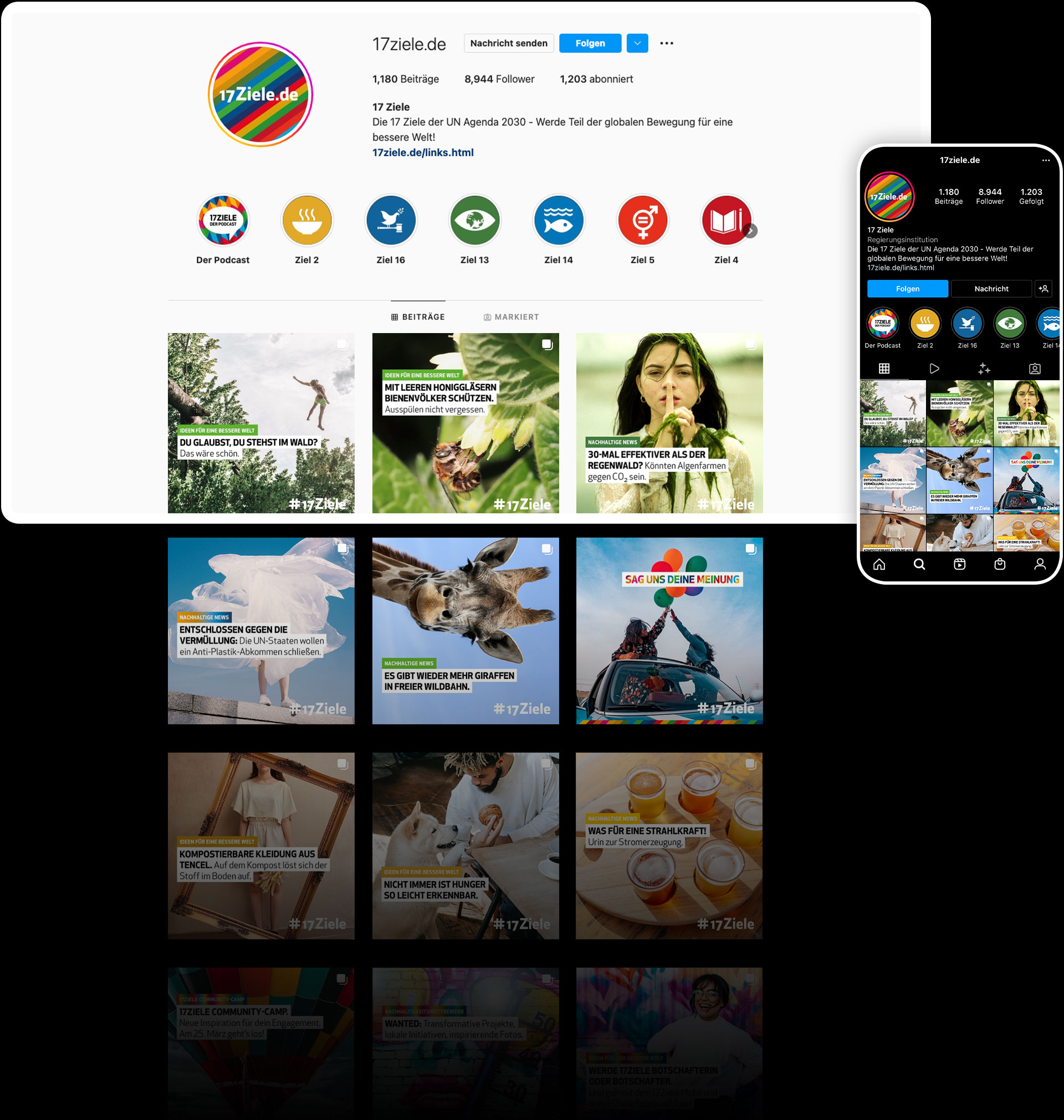 Übersicht des Instagram-Kanals von 17Ziele