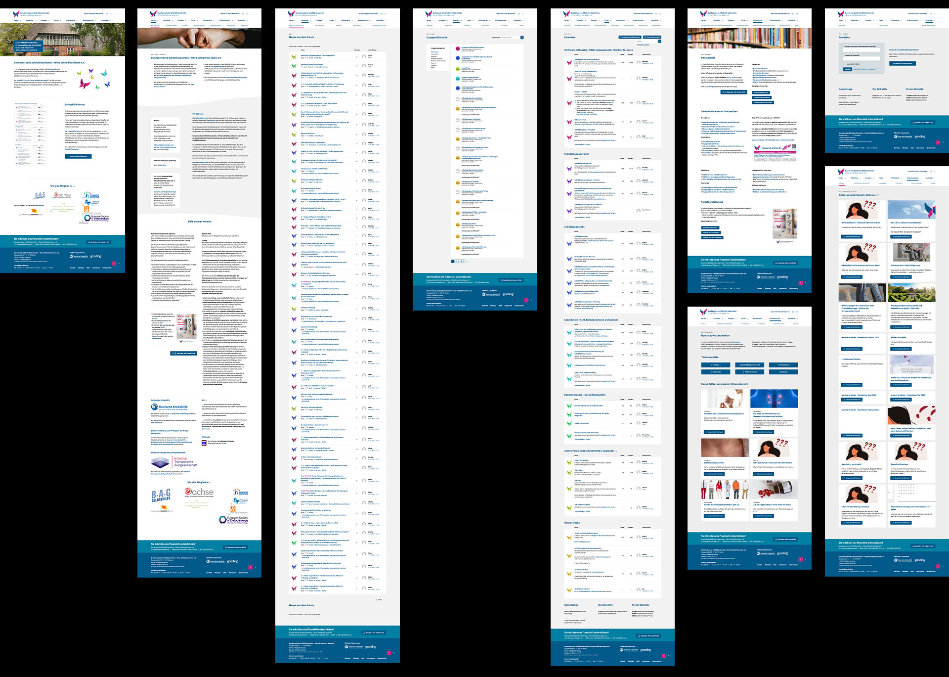 Übersicht der Unterseiten der Website sd-krebs.de